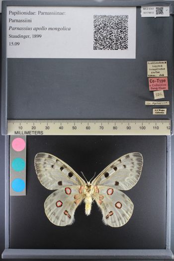 Media type: image;   Entomology 179612